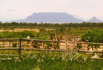 Table Mountain 'from behind'