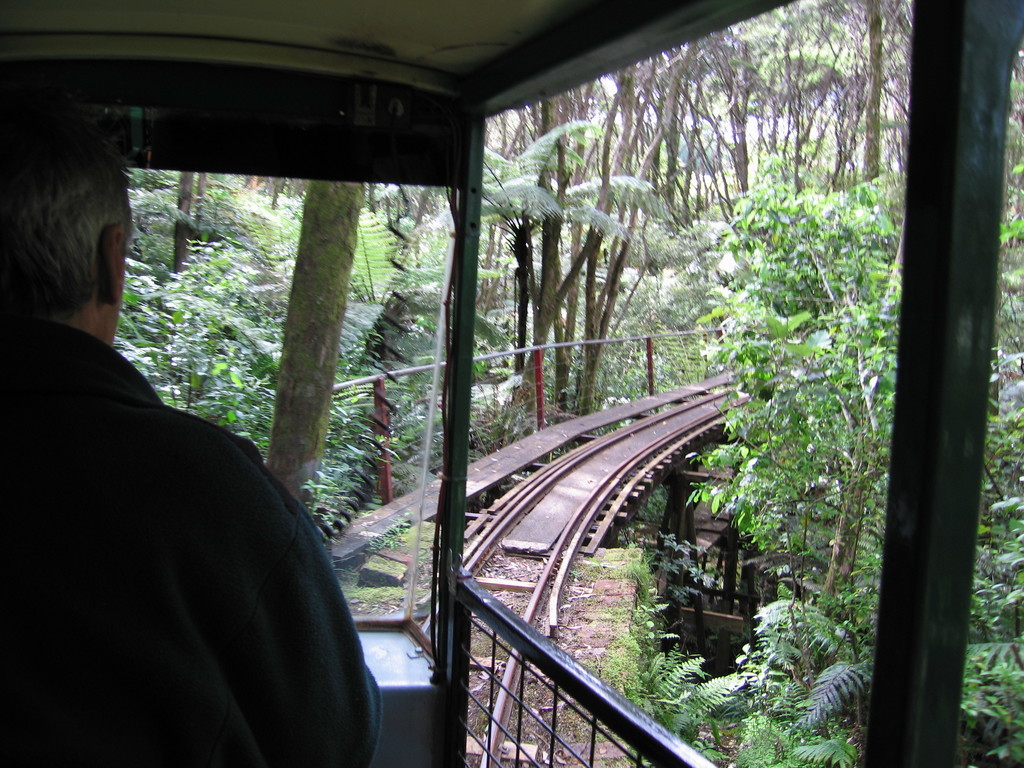 Driving Creek Railway, just north of Coromandel Town.