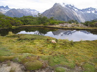 The key summit, 90 minutes into the Routeburn Track (we walked the track in the opposite direction).