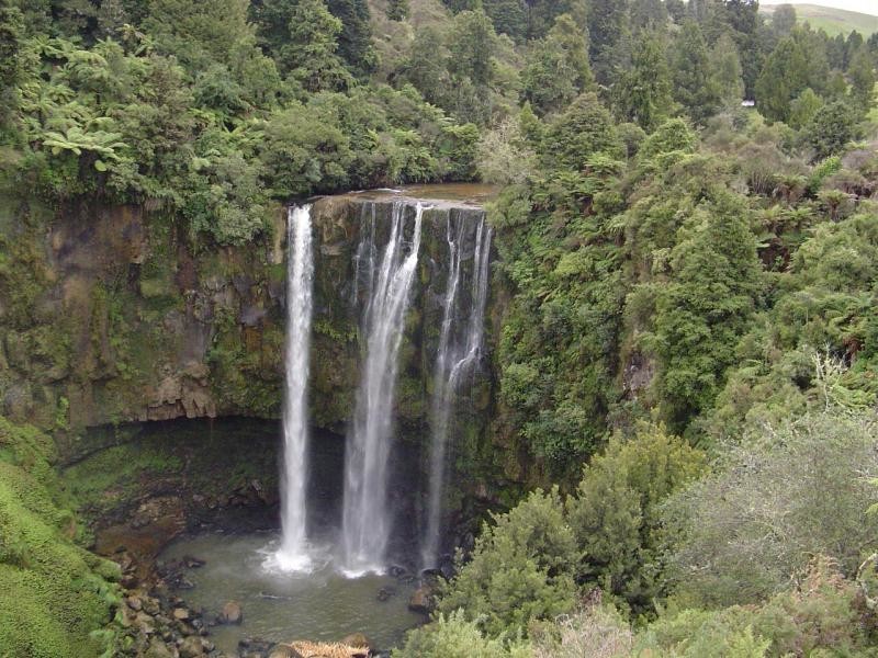 Omaru Falls - photo courtesy of Dominik Schultes (I had left my camera in the car)