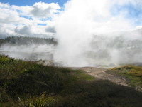 steaming vents