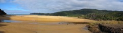 Awaroa Bay estuary from slightly further away