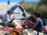 The tramping club's annual beach party