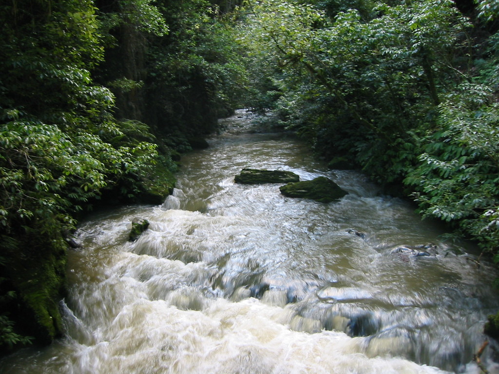 the same river a little further upstream