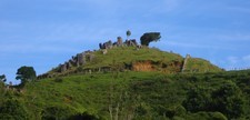 nice hill with rocks and two trees